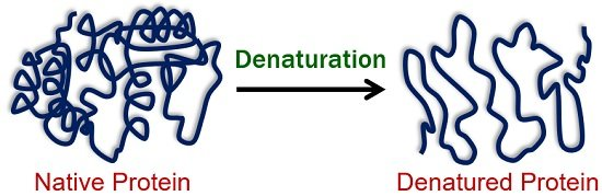 Peptide bond formation