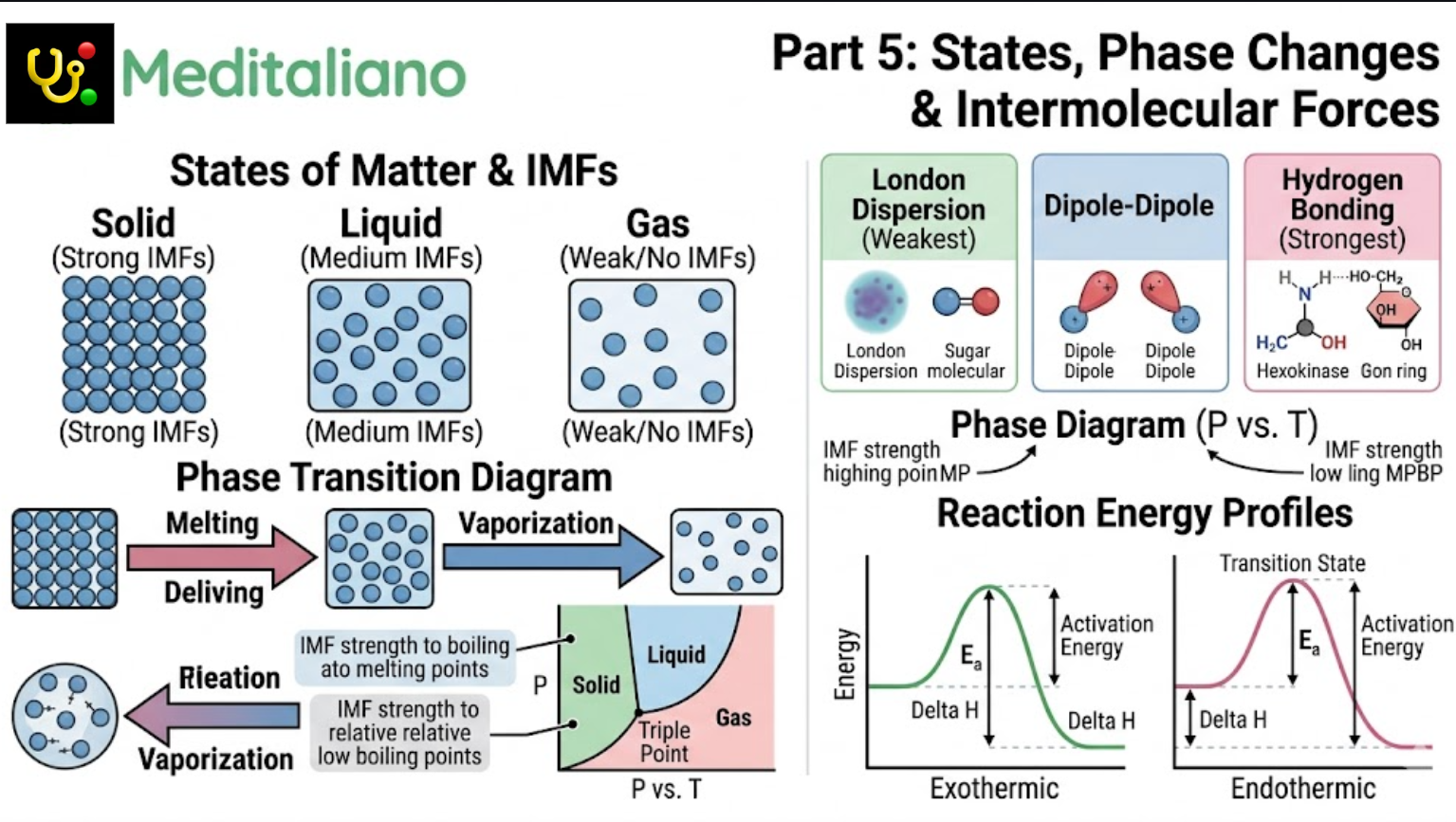 States, Phase Changes and Intermolecular Forces Master Diagram