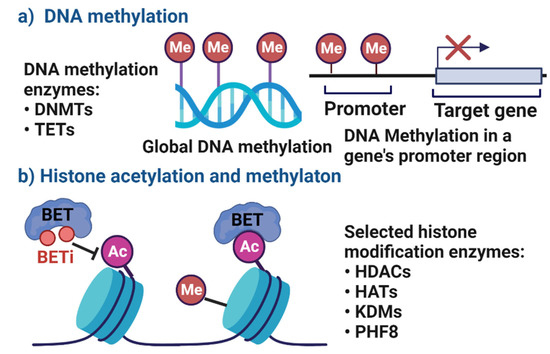 DNA methylation and histone modification