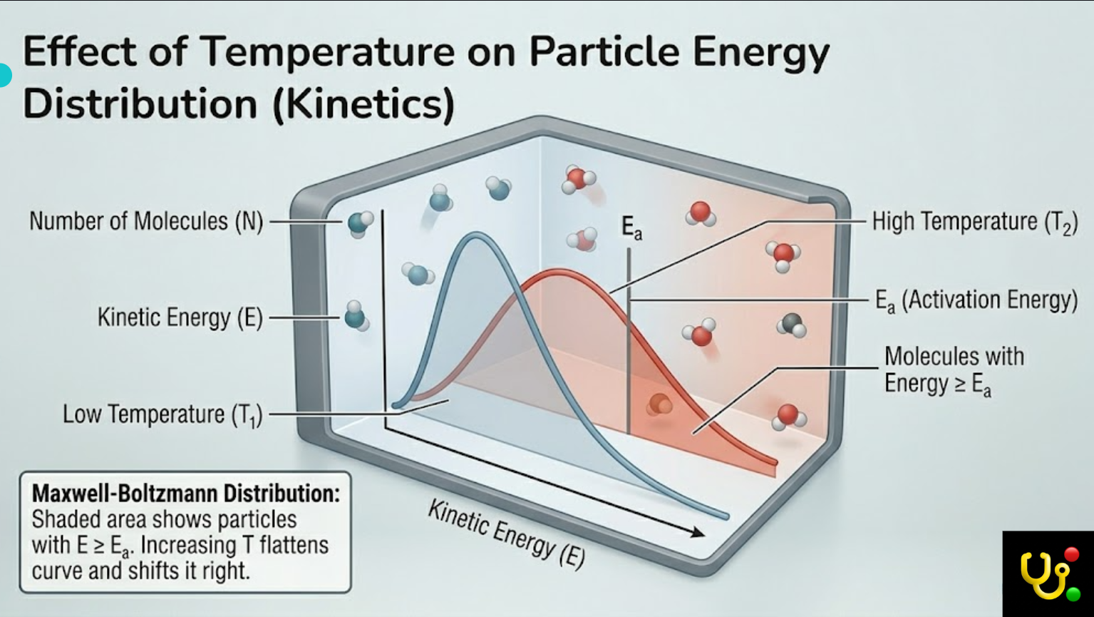 Reaction Kinetics