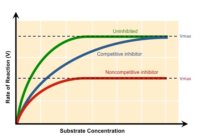 Competitive inhibition kinetic curves